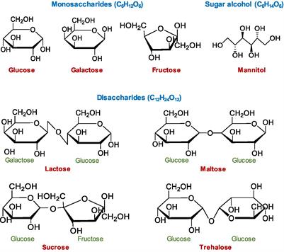 Synergistic Induction of Chicken Antimicrobial Host Defense Peptide Gene Expression by Butyrate and Sugars